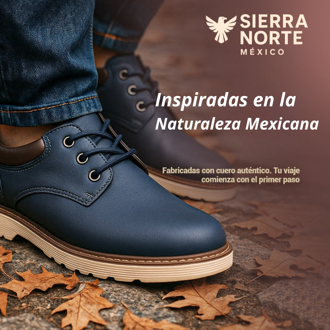 Zapato Sierra Bravo ┃Edición limitada Premium