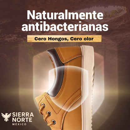 Zapato Sierra Bravo ┃Edición limitada Premium